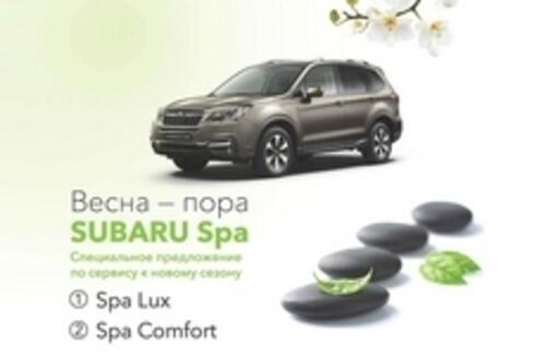 Весна – пора Subaru Spa от Subaru Motor Astana