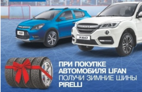 У зимы свои чемпионы!