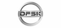 Вираж DFSK, Кокшетау, Северная промзона, проезд 10 №6